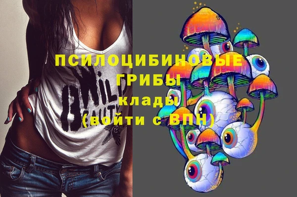альфа пвп Беломорск