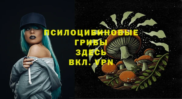 альфа пвп Беломорск