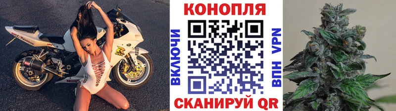 МАРИХУАНА ГИДРОПОН  магазин продажи наркотиков  Минеральные Воды 
